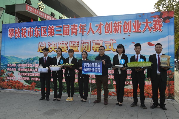 攀枝花市东区经济总量_攀枝花市东区人民法院(2)